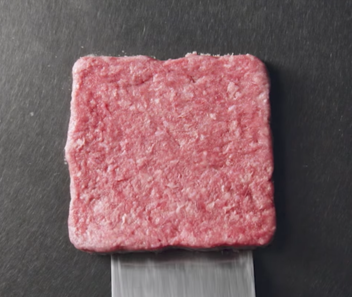 What Year Was the Hamburger Created img