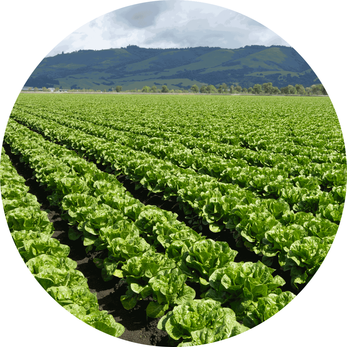 Examens par un tiers des droits de la personne