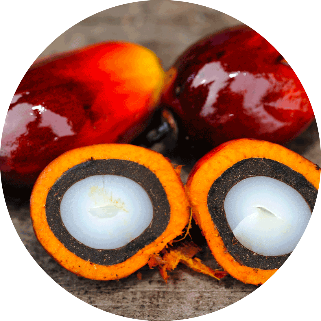 Huile de palme durable certifiée