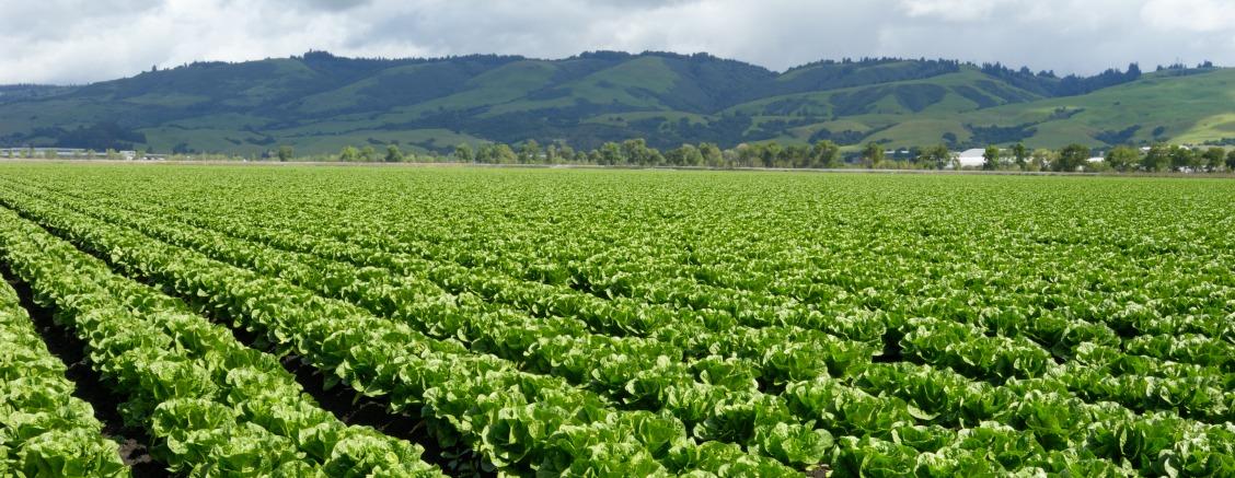 Prácticas de la cadena de suministro