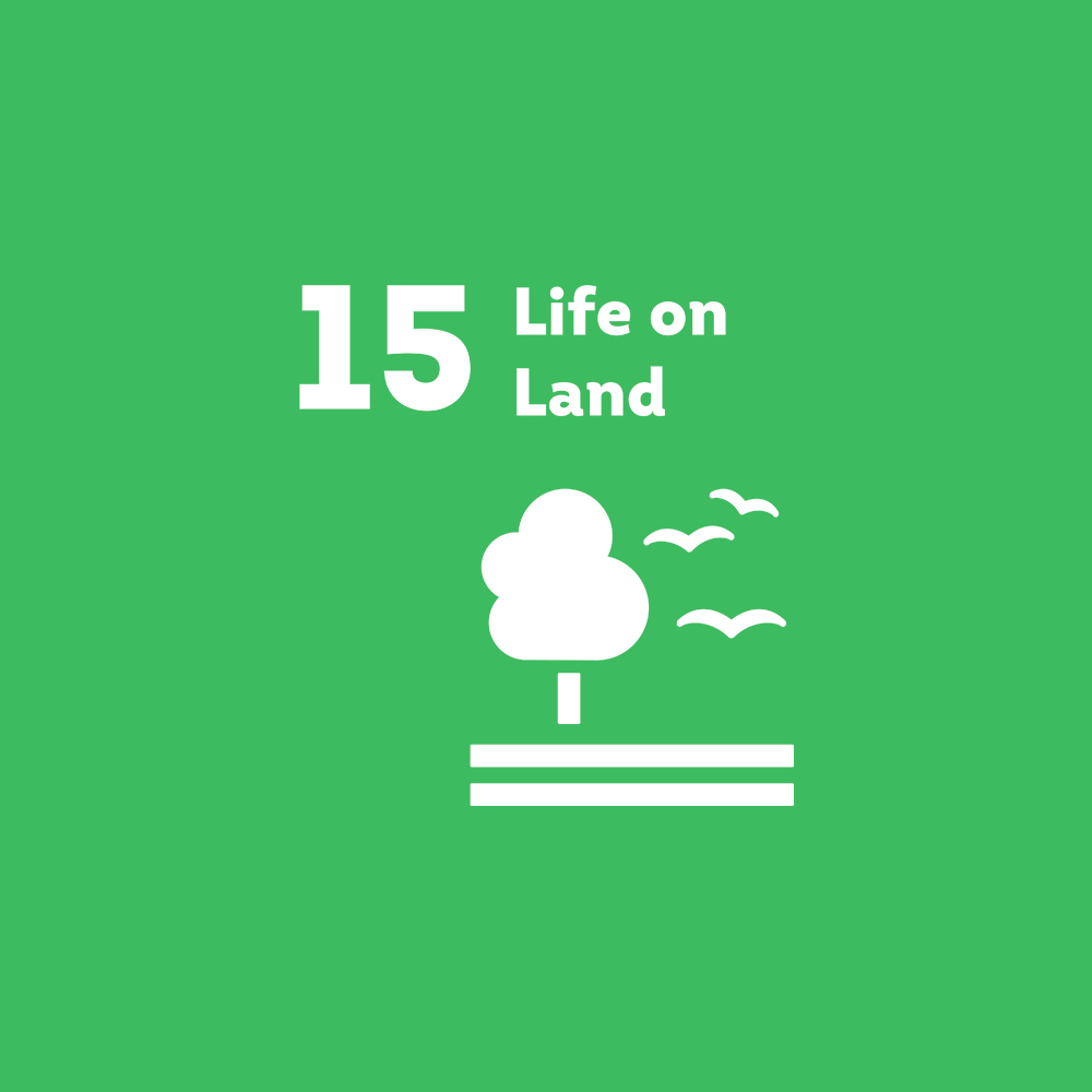 Illustration Icon Life on Land