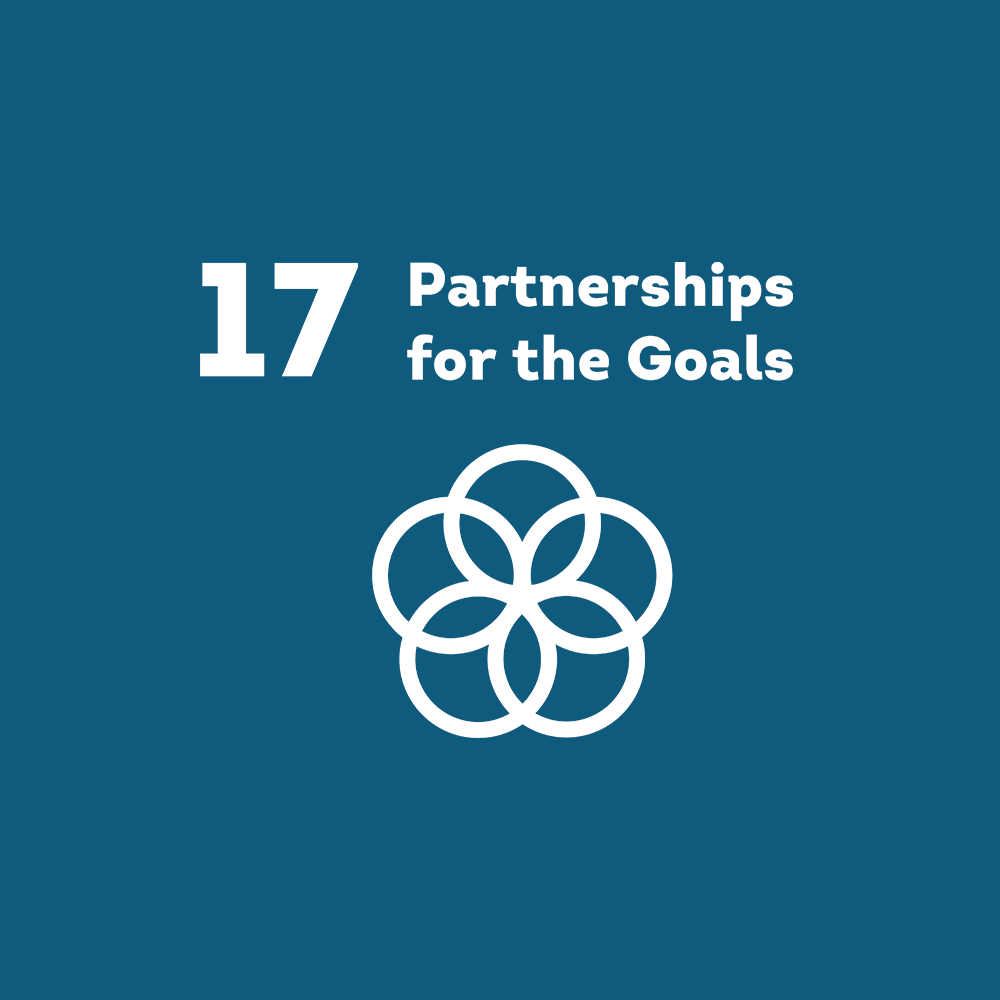 Illustration Icon Partnership for the Goals