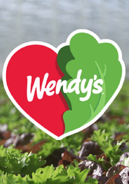 Greenhouse grown lettuce in Canada