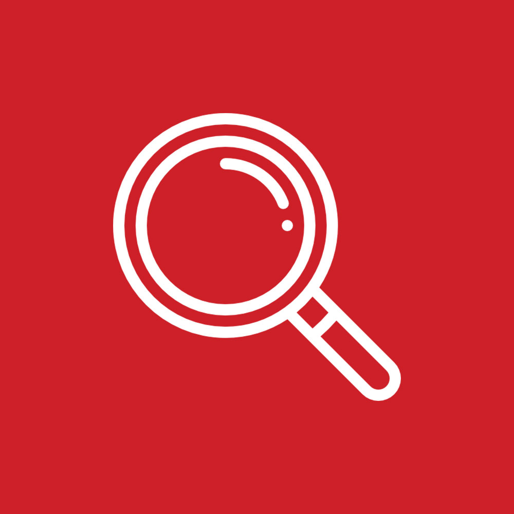 icon magnifying glass