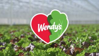 Wendy's Lettuce