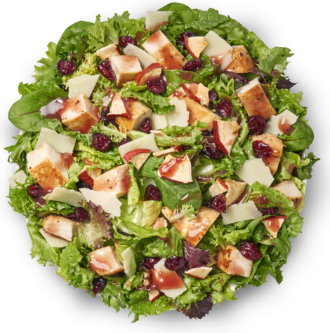 Apple Cranberry Chicken Salad - adjusted