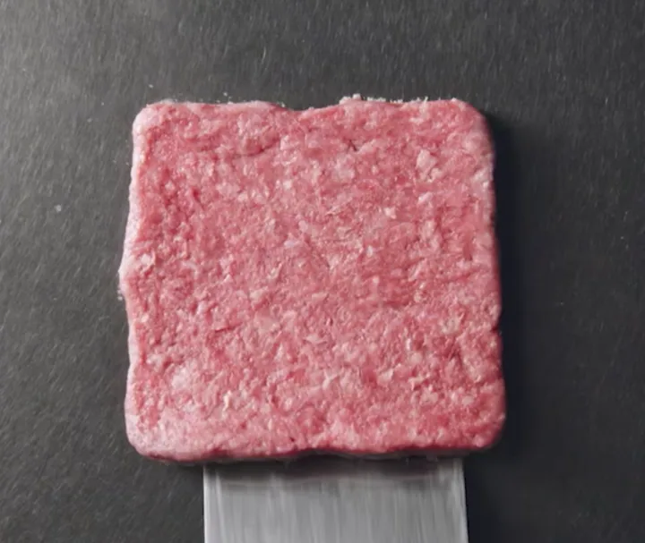What Year Was the Hamburger Created img