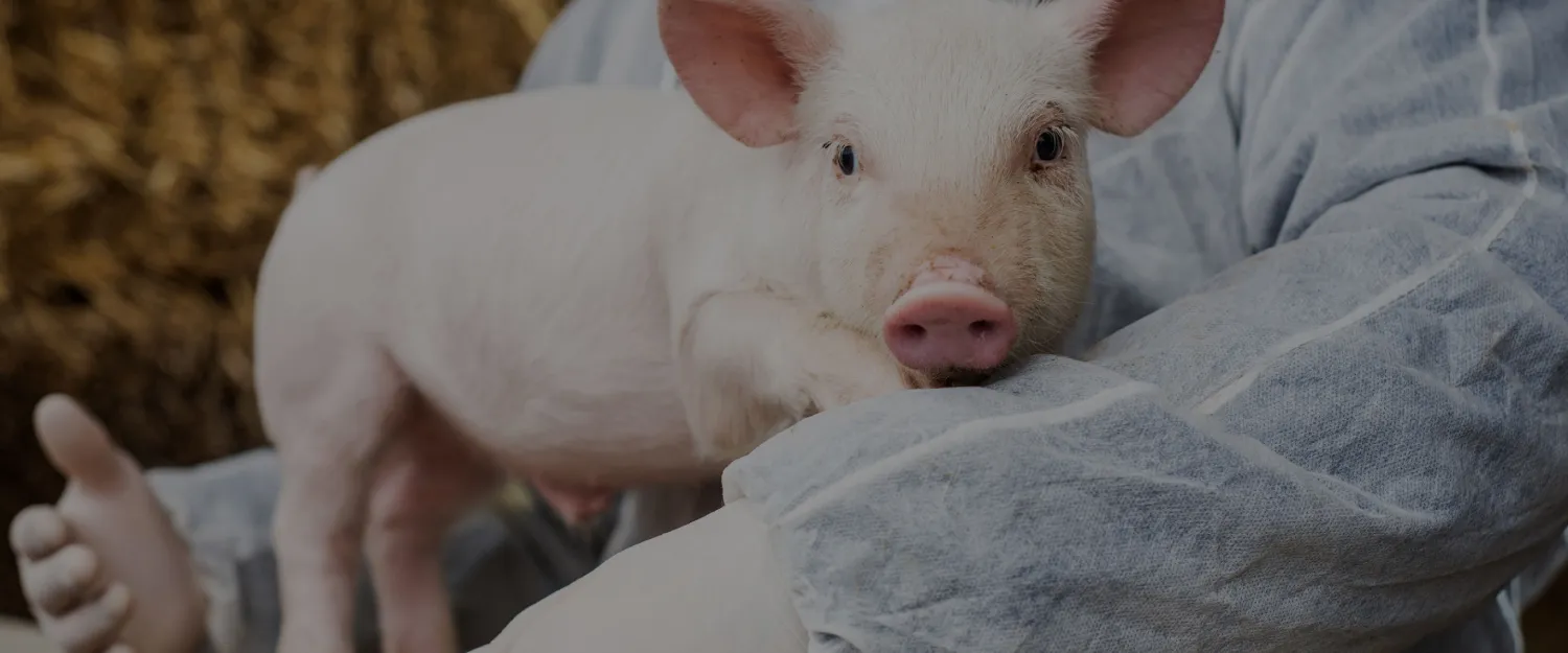 Animal Welfare