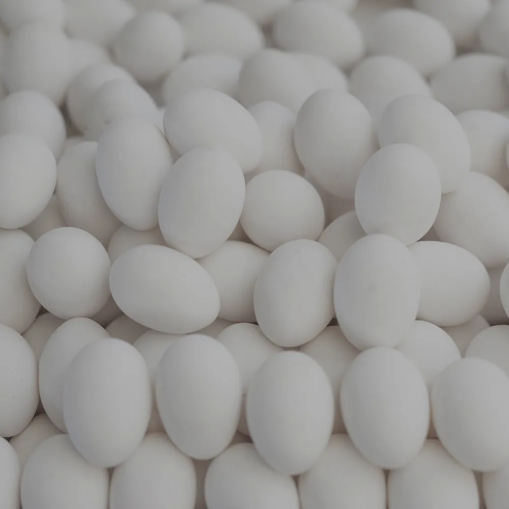 Eggs Photo