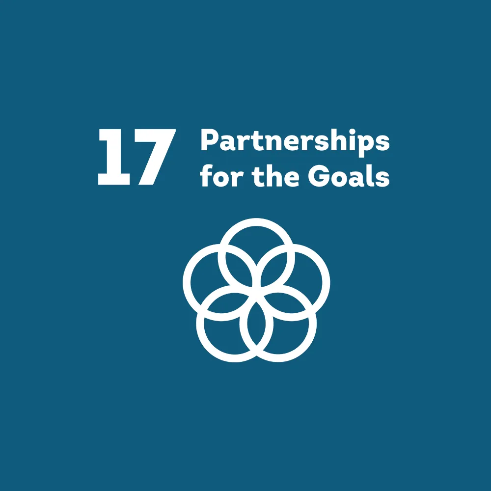 Illustration Icon Partnership for the Goals