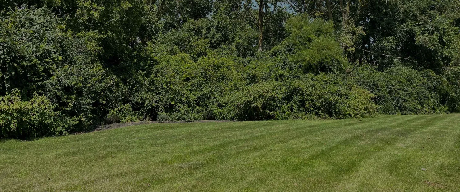 Wendy's Campus Pollinator Garden