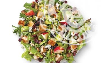 Wendy's Apple Pecan Salad